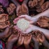 Can International Cooperation Solve the Global Food Crisis?