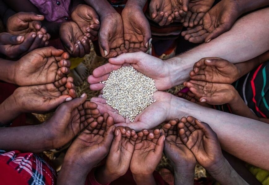 Can International Cooperation Solve the Global Food Crisis?