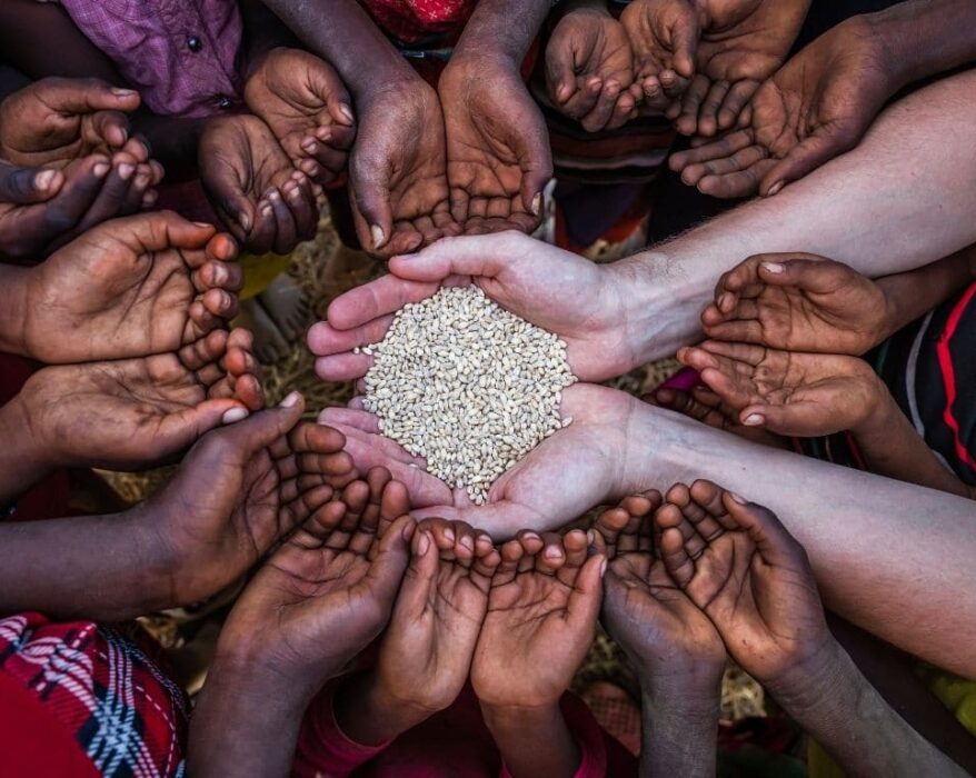 Can International Cooperation Solve the Global Food Crisis?