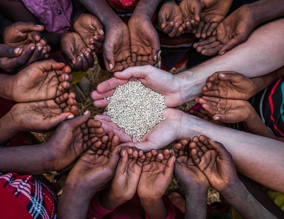 Can International Cooperation Solve the Global Food Crisis?