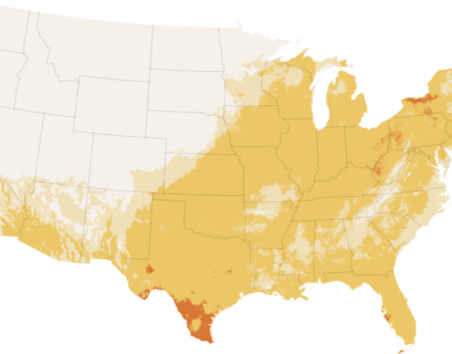 Emergencies Declared Across the Northeast as Heat Index Hits Triple Digits