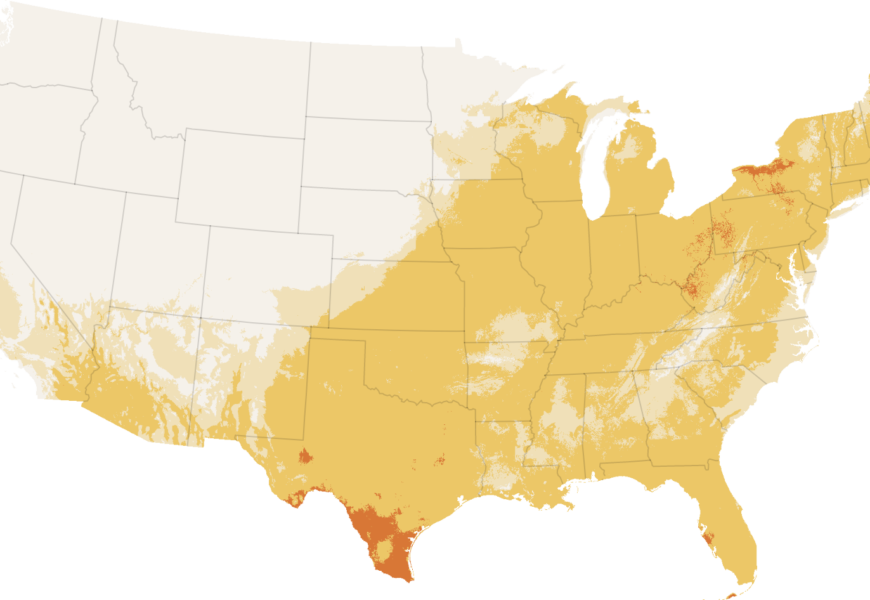 Emergencies Declared Across the Northeast as Heat Index Hits Triple Digits